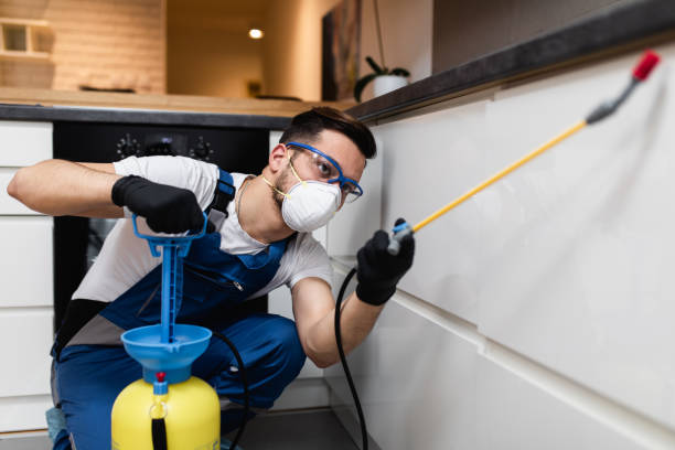 Best Pest Control Near Me  in Aberdeen, IN