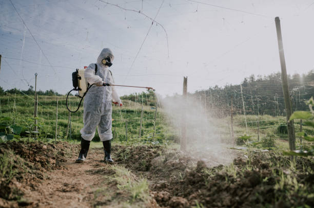Best Best Pest Control Companies  in Aberdeen, IN