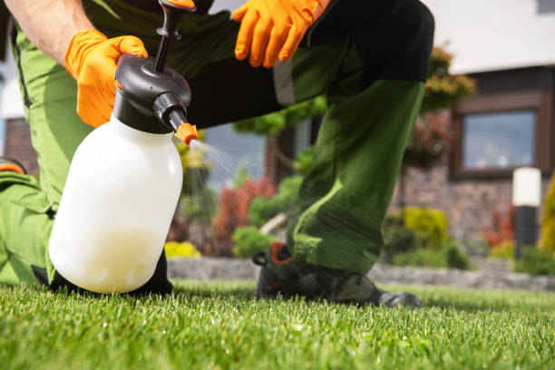 Best Emergency Pest Control  in Aberdeen, IN