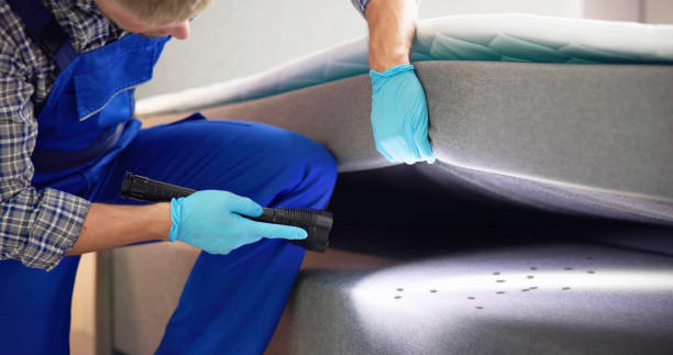 Best Mosquito Control Services  in Aberdeen, IN