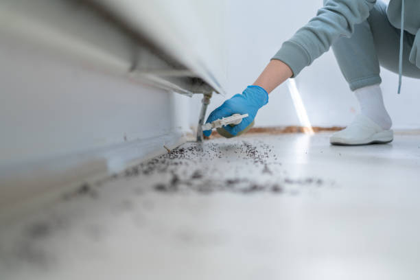 Best Residential Pest Control  in Aberdeen, IN
